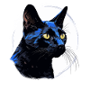 Bombay Cat Bombay Katze