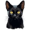 Bombay Cat Bombay Katze