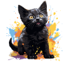 Bombay Cat Bombay Katze