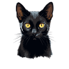 Bombay Cat Bombay Katze