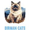 Birman Cat Birma Katze