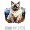 Birman Cat Birma Katze