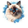 Birman Cat Birma Katze
