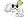Muscles Motivation Musculation Gym