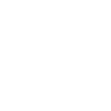Goose with Sunglasses Geese
