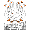 Geese Goose
