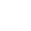 Geese Goose