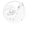 Sloth Sloths Sleep Lazy
