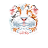 Guinea pig