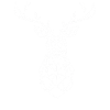 Deer, Deer, Hunter, Animal