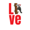 Dear woodpeckers, lovers, birdwatchers,
