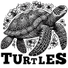 Turtle Turtles Floral Graphic Gift