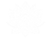Lotus Lotus Flower Blossom