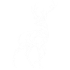 Deer, Deer, Hunter, Animal