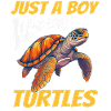 Turtle Sea Turtle Turtle Animal