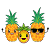Pineapple family