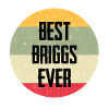 Best Briggs Ever
