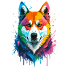 Akita