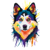 Alaskan Klee Kai