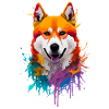 Akita