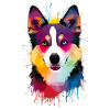 Alaskan Klee Kai