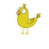 Canary Pet