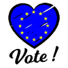 The European Election