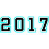 2017 Year Birthday