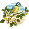 Bunter Vogel
