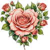 Coeur d’une Roses à l’aquarelle