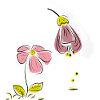 Spring Flowers
