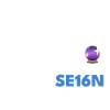 SAP-SE16N-CrystalBall