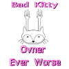 Bad Kitty