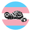 Frettchen für Trans-Rechte