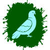 Splatter Dove