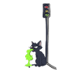 The cat is sick