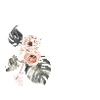 Letter to Tropical Floral