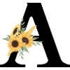 Letter to Floral Sunflower