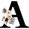 Letter to Tropical Floral