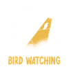 Birdwatching Birding Birds Birdwatcher