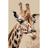 Girafe