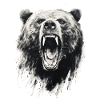 Grizzly Bear Bear