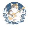 Guitare ours grizzly