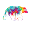 Grizzly Bear Tie Dye