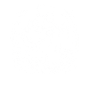 Bear Grizzly Bear Guitar