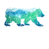 Bear Grizzly Bear