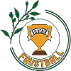 Faustball Siegerin Faustballerin Spielerin Sieg