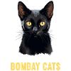 Bombay Cat Bombay Katze