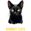 Bombay Cat Bombay Katze