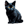 Bombay Cat Bombay Katze